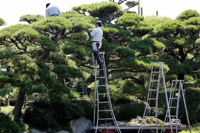 当社の事業内容です