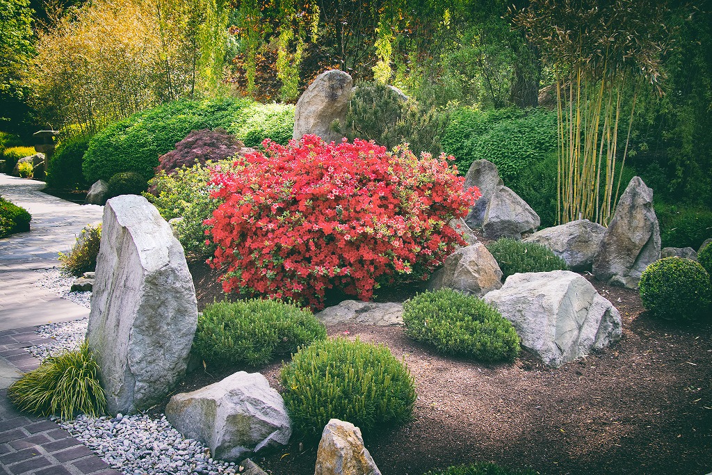 AdobeStock_186911289